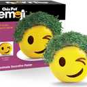 Chia Pet Emoji Winky with Seed Pack, Decorative Pottery Planter, Easy to Do and Fun to Grow, Novelty Gift, Perfect for Any Occasion