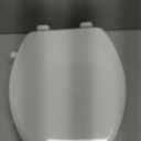 Elongated Bidet Toilet Seat with Quiet-Close, Non-Electric Bidet Mode with Dual Nozzles, Fit Elongated Toilet Seat, Adjustable Water Pressure with Brass inlet (Elongated)