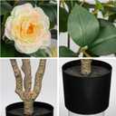 3ft Artificial Camellia Tree Fake Camellia Plant with Yellow Flowers Faux Floral Plant Blooming Tree in Black Pot for Indoor Outdoor Office Home Front Door Porch Decor (1 Pack - Yellow)