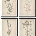 PLKMN Vintage Floral Wall Art Prints Set of 4, Neutral Boho Wildflower Pictures, Minimalist Floral Decor for Bathroom, Kitchen, Farmhouse, 8x10 Inch, Unframed