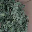 2PCS 9FT Christmas Cedar Garland with 100 Led Lights, Full 240 Pine Branches, Realistic Garland Artificial Greenery for Fireplace,Wall Indoor Outdoor Decorations