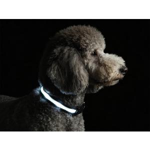LED Dog Collar for XSmall Dogs & Toy Breeds USB-C Rechargeable Light Up Dog Collar, Fully Waterproof Adjustable Glow Collar for Night Walking & Safety(White,XS)