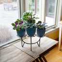 Frida IV Plant Stand