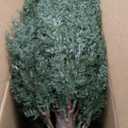 3FT Artificial Cedar Topiary Trees with Ground Spike, UV Resistant Artificial Bushes, Set of 2 Faux Cypress Plants Faux Shrubs for Outdoor Indoor Front Porch Garden (Dark Green)