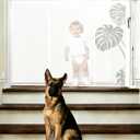 55" Wide Retractable Baby Gate for Stairs, 42" Extra Tall Retractable Dog Pet Gate with Support Rods, Mesh Screen Child Safety Gate for Doorways Hallways Deck Porch, Outdoor Indoor Use