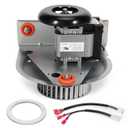 318984-753 Furnace Draft Inducer Motor, Fit for Bryant/Carrier/Jakel Furnace Inducer Motor - Replace J238-150-1571, HC21ZE117 Furnace Fan Blower - with Blower Wheel & Mounting Bracket