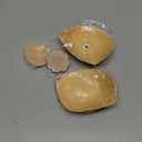 Invisible Strapless Sticky Bra Push up for Women, Ultra Adhesive Bra for Backless Dress, Cleavage Bra Lift Novelty Bras (A Cup, Light Beige)