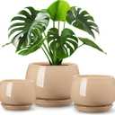 vancasso 3-Pack Ceramic Plant Pots, 7.3/9.6/11.6 Inch Indoor Planters with Saucers & Drainage Hole Planter pots for Indoor Plants and Flower, Brown