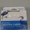 Strathmore Cards Creative Fluor. White/Deckle 3.5" x 4.875" 10pk