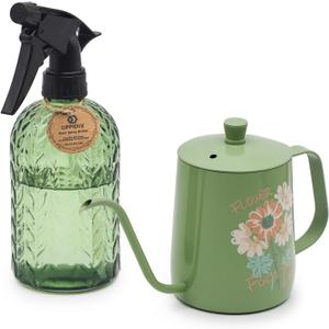 OFFIDIX Watering Can for Indoor Plants,Long Spout Metal Stainless Steel 21 oz Small Indoor Plant Watering Can with 14 oz Glass Plant Mister Spray Bottle for Inside