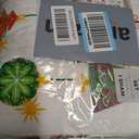 Great Bay Home Twin Size Christmas Quilt Set with Shams - Vibrant, Cheerful, Christmas Prints - Reversible Holiday Seasonal Bedspread with Matching Shams (Twin/Twin XL, Twinkling Ornaments)