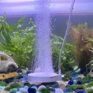 Fish Tank Bubbler Aquarium Air Stone Bubble Stone Betta Fish Tank Decor Accessories Small Oxygen Stone Quiet High Dissolving Oxygen Diffuser for Aquarium Fish Tank Hydroponic 3.2Inch (Medium)