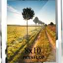 PETAFLOP 8x10 Picture Frame Glass Frames for 8 by 10 Pictures, Tabletop Display Vertically or Horizontally