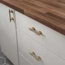 Franklin Brass 5 Pack Champagne Bronze Gold Cabinet Handles Adjustable Drawer Pulls for Kitchen Cabinet Knobs Dressers and Cupboards Fits 1-3/8 to 4 Inch (35102mm) Hole Center | Adjusta-Pull
