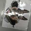 2PCS German Shepherd Dog Sticker 5.51"x4.72" Vinyl Car Waterproof Decal for Car Bumper, Notebook, Guitar, A Gift for Pet Lovers |#B0138