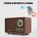 Vintage AM FM Classic Retro Bluetooth Radio with Treble Bass Control