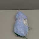 KUTUMAI Women Off Shoulder Bodycon Maxi Long Dress Mesh Ruched Elegant Formal Wedding Guest Dresses Brown Sequin
(Medium, Blue)