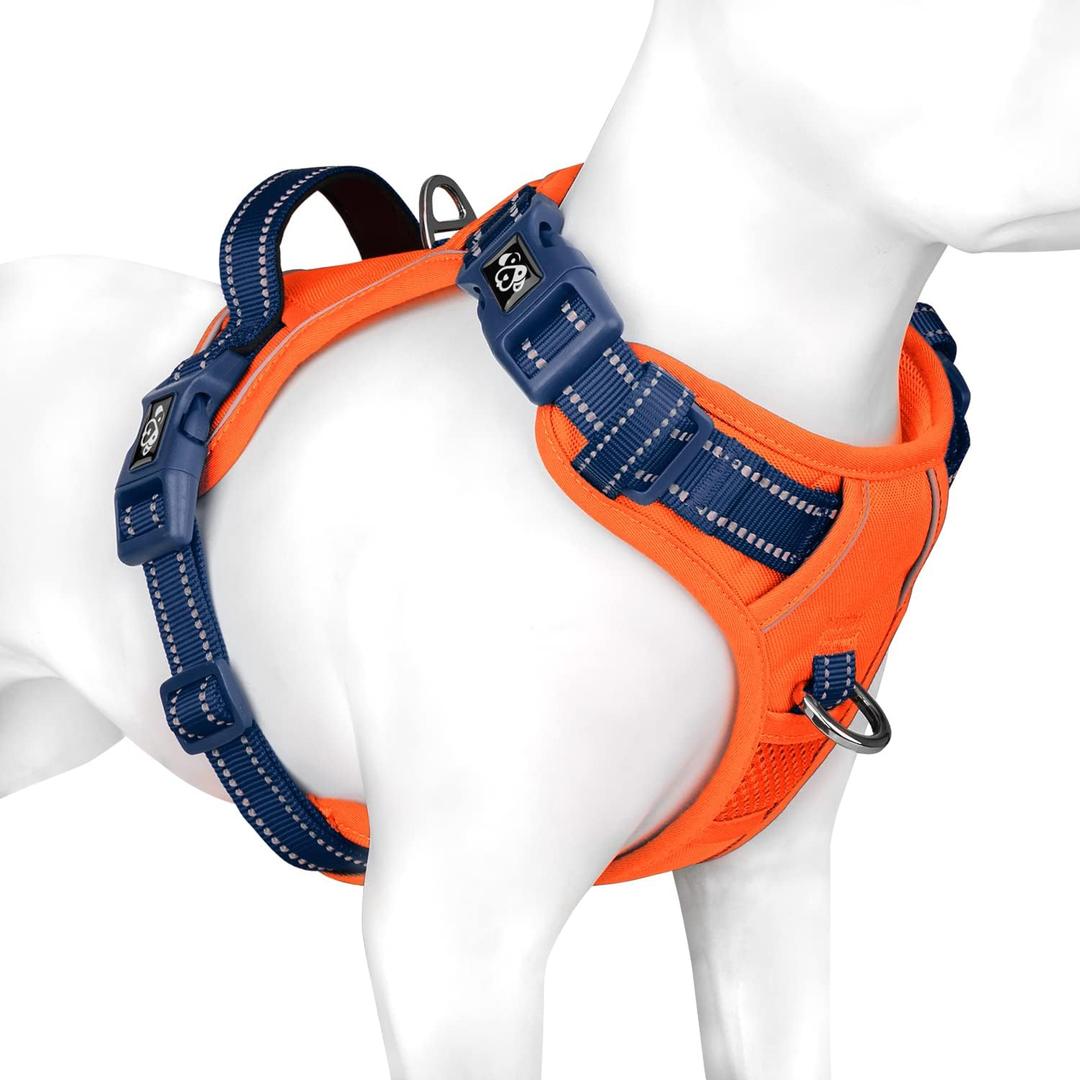 PHOEPET No Pull Dog Harness, Unique Colors Reflective Adjustable Dog Vest, with Soft Training Handle Metal Clips for  Dogs (Orange Base & Blue Straps,M)