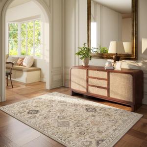 Washable Entryway Small Area Rugs: Door Mat Indoor Entrance 3x5 Rug Stain Resistant Non Slip Soft Carpet Rug for Kitchen Front Door Indoor Entrance Entry Bedroom Kids Room