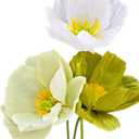 Sage Green White Crepe Paper Poppy Flower DIY Making Kit for Home Table Decor Gift Craft 24 pcs