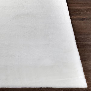 7 x 10 Machine Washable Large Area Rugs for Living Room, Bedroom, Soft Fluffy Shaggy Bedside Rug, Indoor Floor Carpet for Kids Girls and Boys, Dorms, Nursery, Home Decor Aesthetic, White 