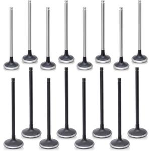 16PCS Intake Exhaust Valves Kit Fit for Hyundai 2.0L G4KD for Santa Fe Sonata for Kia Forte Optima, Replace 22211-2G000, 22212-25002