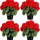 Zeyune 4 Pack Artificial Geranium Flowers for Outdoors Silk Flower UV Resistant Fake Plants Realistic Faux Flowers Outside for Home Kitchen Garden Patio Table Centerpiece(Red)