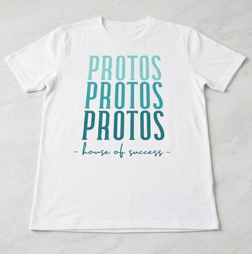 PROTOS House Of Success, Teachers Students T-Shirt (XL)