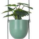 Metal Hanging Planters 2 Tiers Indoor Outdoor Modern Plant Hangers Wall Ceiling Hanging Flower Pots Baskets Kitchen Room Decor(Green)