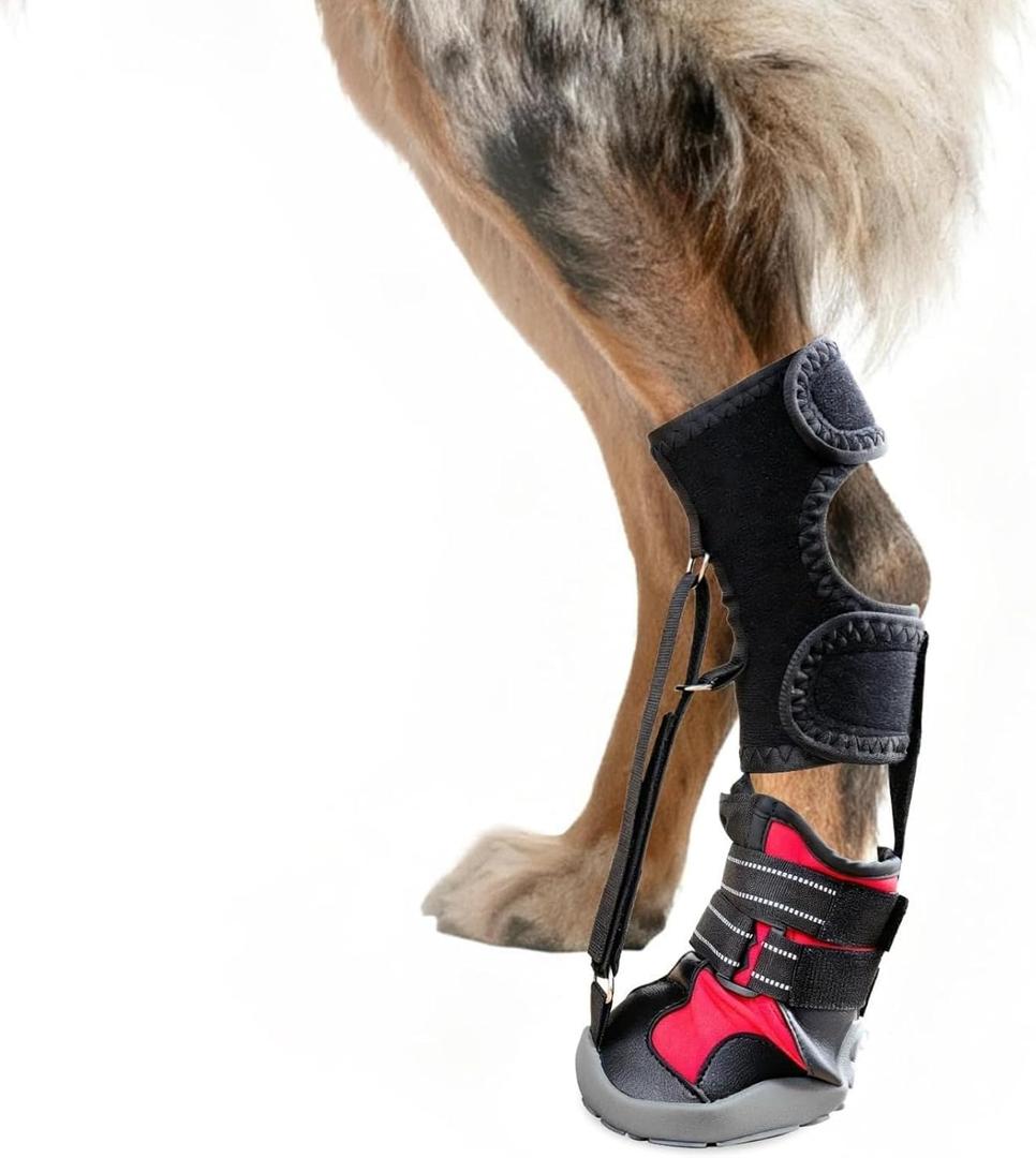 Strap-On Drop Foot Brace (No Knuckling Boot Brace) for Dogs Dog Knee Pads,Corrective Dog Shoes to Safely Lift Toes for Foot Issues, Arthritis, and improving Walking gait in Dogs (L)
