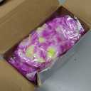 Moucuny 12 Pcs Tropical Flower Banner Hawaiian Garland Luau Flower Leis Garland Bulk Hawaii Party Decor Tropical Garland for Hawaii Summer Luau Tropical Decor(Purple)