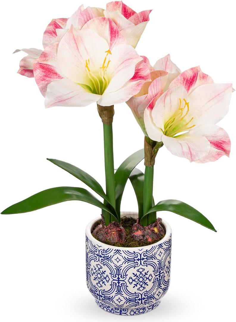 Briful Amaryllis Artificial Flowers in Blue Ceramic Pot 18.1" Faux Pink Amaryllis Flower Arrangement with Decorative Bulbs Moss for Home Office Bathroom Table Dcor