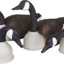 FlambeauDecoys (Shell - 4-Pack, Shell - 4-Pack)