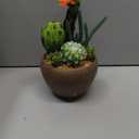 Assorted Artificial Cactus Plants Indoor - 5.9" Small Faux Succulent Cacti Plants in Pots Mini Fake Flowering Cactus Potted with Bowl for Home Office Living Room Bathroom Shelf Table Indoor Decor