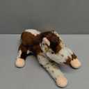 Nat and Jules Appaloosa Horse Large