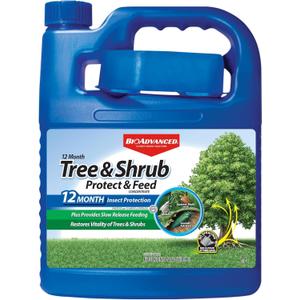 BioAdvanced 12 Month Tree and Shrub Protect and Feed Concentrate, 64 oz, Insect Killer, Tree Fertilizer & Plant Food