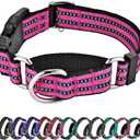 Hikiko Martingale Dog Collars Reflective Nylon Dog Collar with Quick Release Buckle Adjustable Training No Slip Dog Collar (Small, Pink)