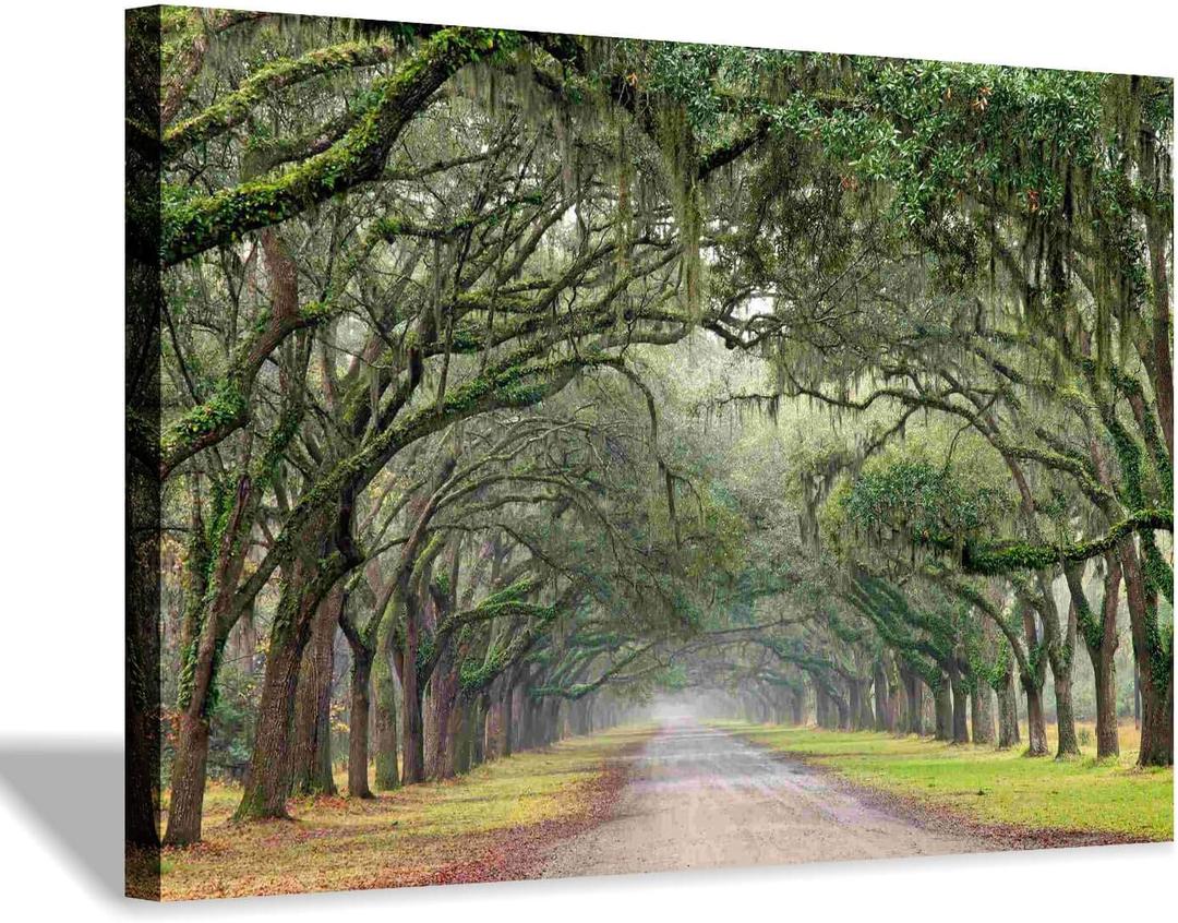 Hardy Gallery Green Forest Landscape Wall Art: Nature Canvas Oak Tree Lined Road of Savannah Artwork Picture Large Painting for Home Wall Decor (45'' x 30'' x 1 Panel)