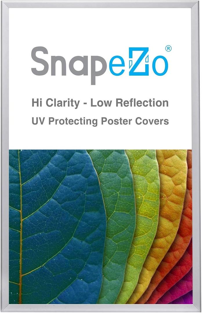 SnapeZo Poster Frame 32x50, Silver, 1.25 Inch Aluminum Profile, Front-Loading Snap Frame, Wall Mounting, Professional Series