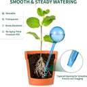 2 x Soilagua 12-Pack Plastic Plant Watering Globes, Premium PVC Shatter-Resistant Plant Waterer, Tapered Opening Self Watering Planter Insert, Automatic Watering Spikes for Daily & Vacation Plants Care