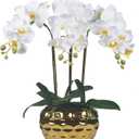 W&W Artificial Orchid Plants & Flowers Arrangement in Ceramic Pot, Fake Faux White Orchid with Gold Vase, Realistic Phalaenopsis Orchids for Home Decor Indoor