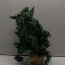 24 Inch Prelit Artificial Mini Christmas Tree,Tabletop Christmas Tree with 30 LED Warm Lights,Desktop Small Xmas Green Pine Tree for Home Decor（Battery Operated）