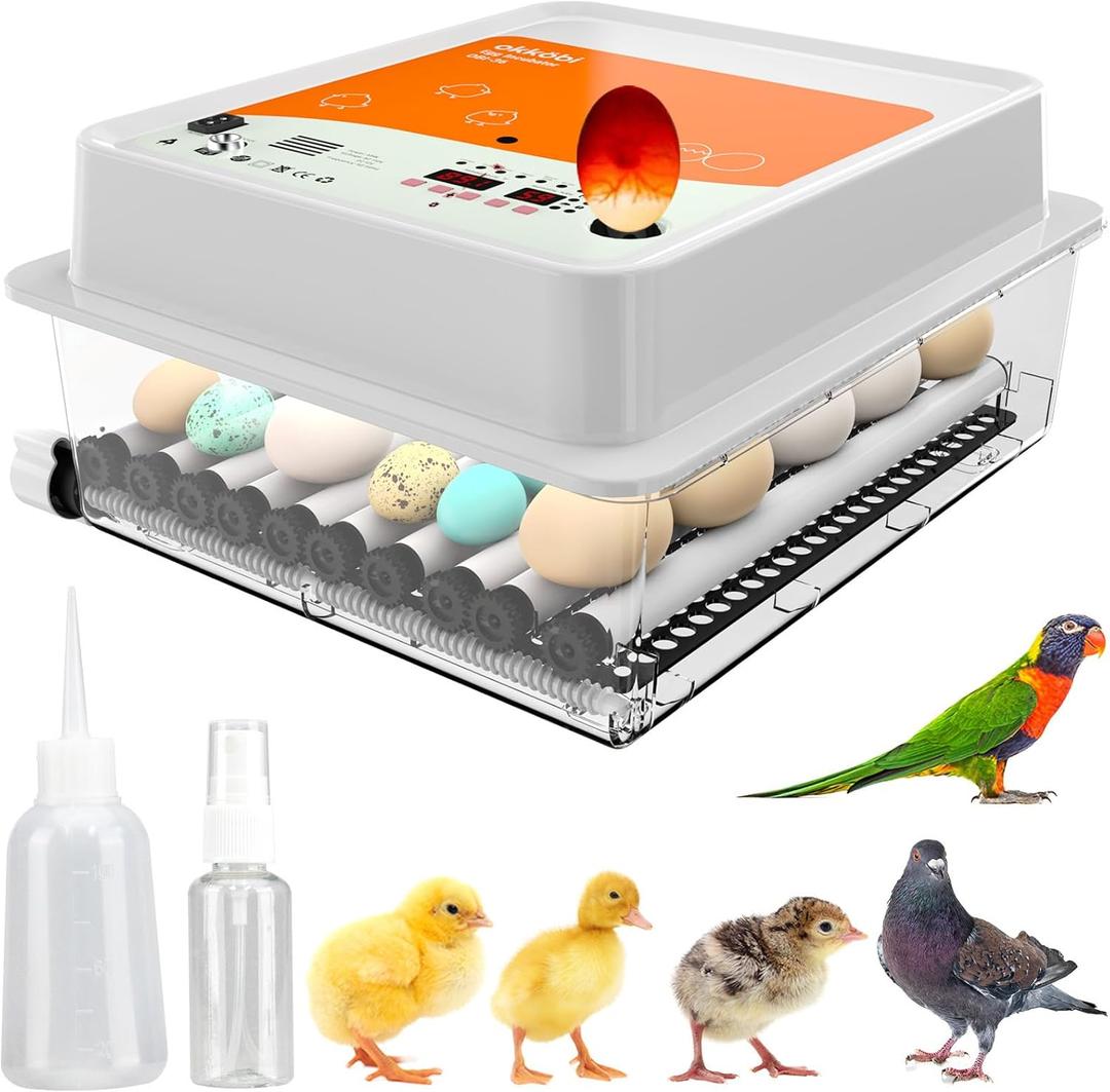 Incubators for Hatching Eggs - 36 pcs | Incubator with Automatic Turning and Humidity Control - Integrated Egg Candler - Okkobi OBI-36 for Hatching Chickens, Ducks & Other Birds (Orange)