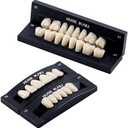 JMU 28 Pcs/Set Dental Acrylic Resin Denture Teeth Shade A1 T6 Resin Synthetic False Teeth