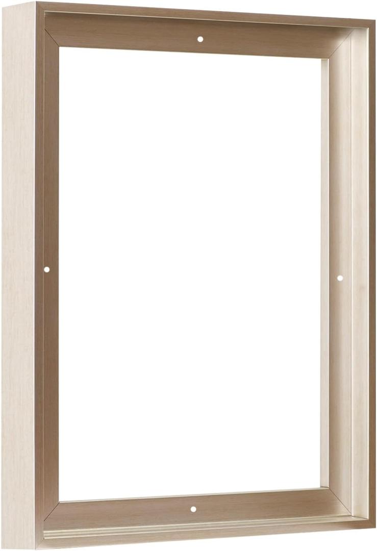 Pixy Canvas Floater Frame 16x20 for 1-1/2 (1.5) inch Deep Canvas Paintings/Canvas Prints/Wood Canvas Panels/Wall Art/Wall Decor/Home Decor/Artwork (Champagne, 16 x 20 inch, Portrait)