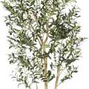 FEELEAD Olive Tree Artificial Indoor 6ft with Planter for Living Room Decor | Faux Olive Tree 6 Feet with Textured Trunk & Realistic Leaves, Tall Fake Olive Tree with Pot for Home Decor, Weighted Base
