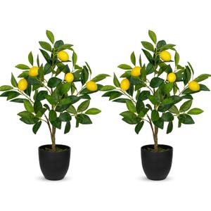 2Ft Artificial Lemon Trees, 2 Packs Large Artificial Plants Indoor with Black Pots Faux Potted Citrus Trees Fake Floor Plants Lemon Decorations for Home Living Room Office, Bedroom Table, Desk