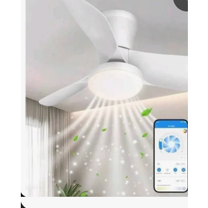 Ceiling Fans with Lights: 30 Inch Low Profile Ceiling Fans with Lights and Remote & APP Control Quiet Reversible 3 Colors Dimmable 6 Speeds Flush Mount Small Black Ceiling Fan for Bedroom Bathroom
