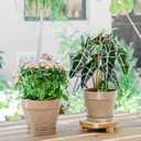 Melphoe Plant Pots Indoor with Drainage & Saucer, 2 Pack 7/8 Inch Flower Pots Outdoor Planters for Indoor Plants Garden Home Decor Cactus Succulent, Rigid Plastic (Imitation-Terracotta) Vine-Embossed (Undecorated Pottery Color)