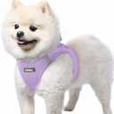 rabbitgoo Small Dog Harness, Step-in Soft Mesh Puppy Vest with Safety Buckle, Breathable Reflective Pet Harness for Small Sized Dogs, Light Purple S (S(Chest:15.1"-16.5"))